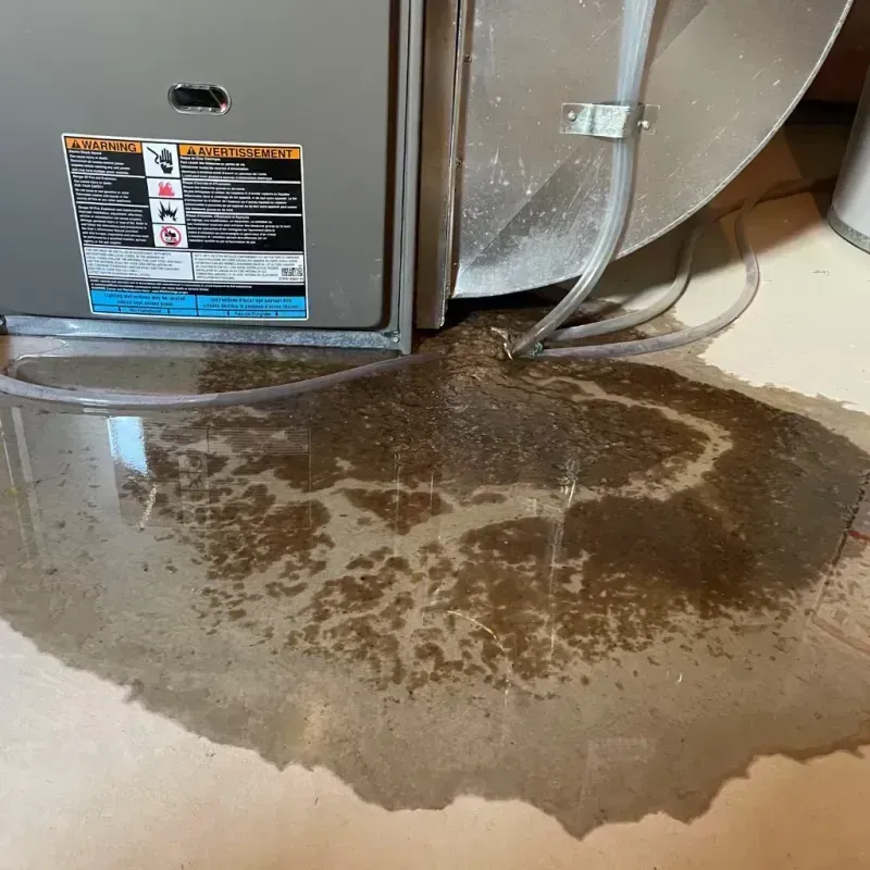 Appliance Leak Cleanup in Throop, PA